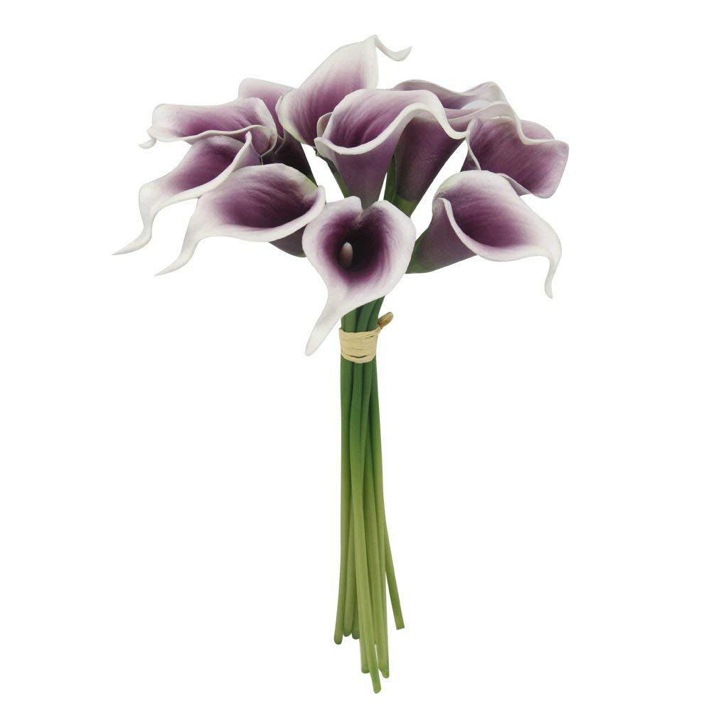 14 Fashionable Calla Lily Tall Vase 2024 free download calla lily tall vase of amazon com lot of 60 real touch calla lilies picasso plum home intended for amazon com lot of 60 real touch calla lilies picasso plum home kitchen