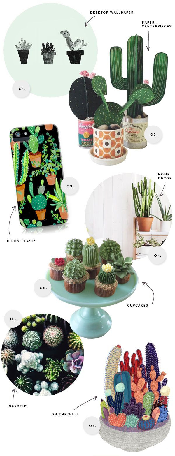 14 attractive Ceramic Cactus Vase 2024 free download ceramic cactus vase of cactus inspiration oh happy day cacti ac296 lyf pinterest throughout cactus inspiration oh happy day