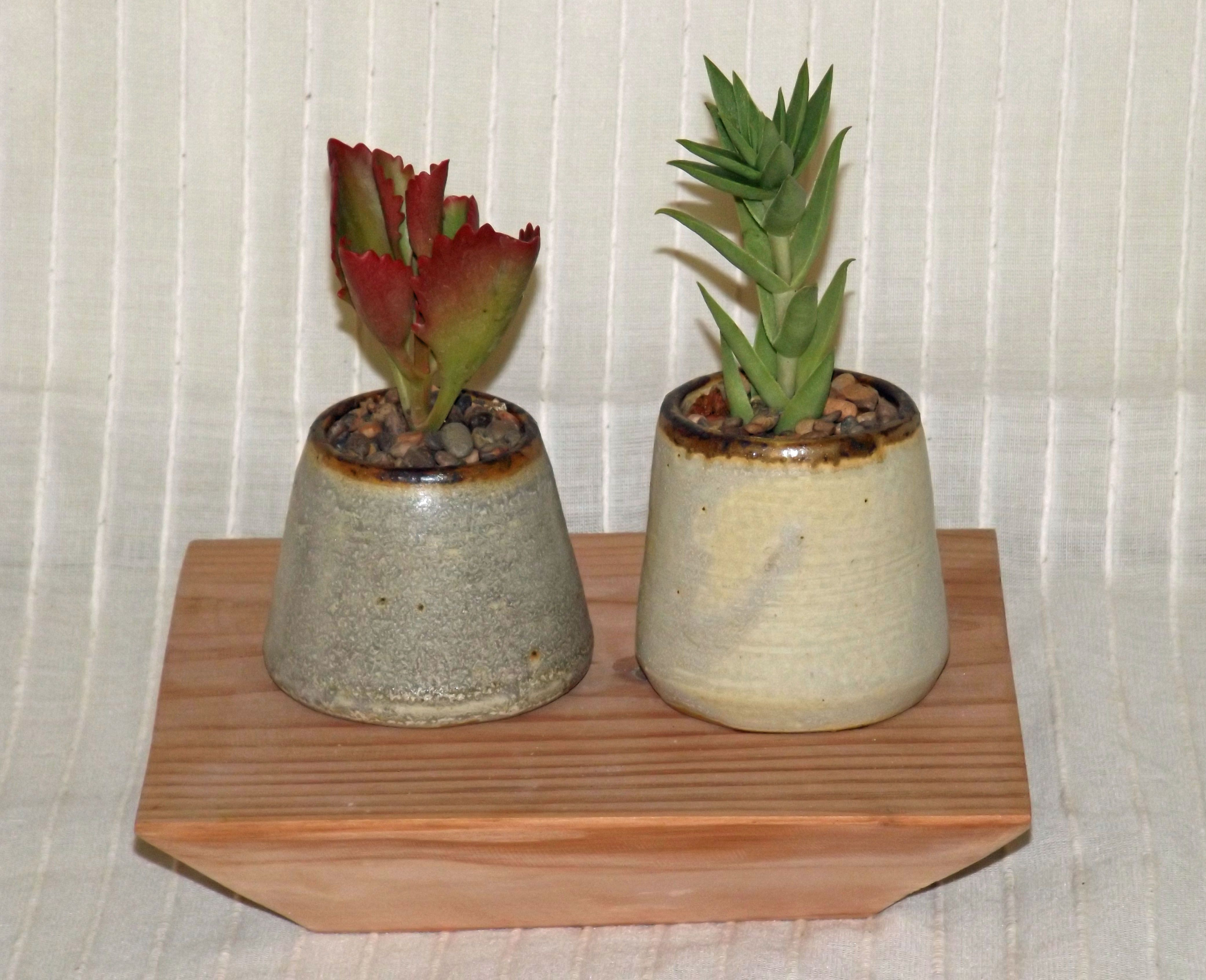 14 attractive Ceramic Cactus Vase 2024 free download ceramic cactus vase of gres y suculentas ceramica gres pinterest within gres y suculentas