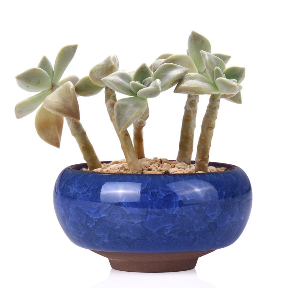 14 attractive Ceramic Cactus Vase 2024 free download ceramic cactus vase of wituse 6pcs for home desk mini glazed ceramic succulent planter with aeproduct getsubject