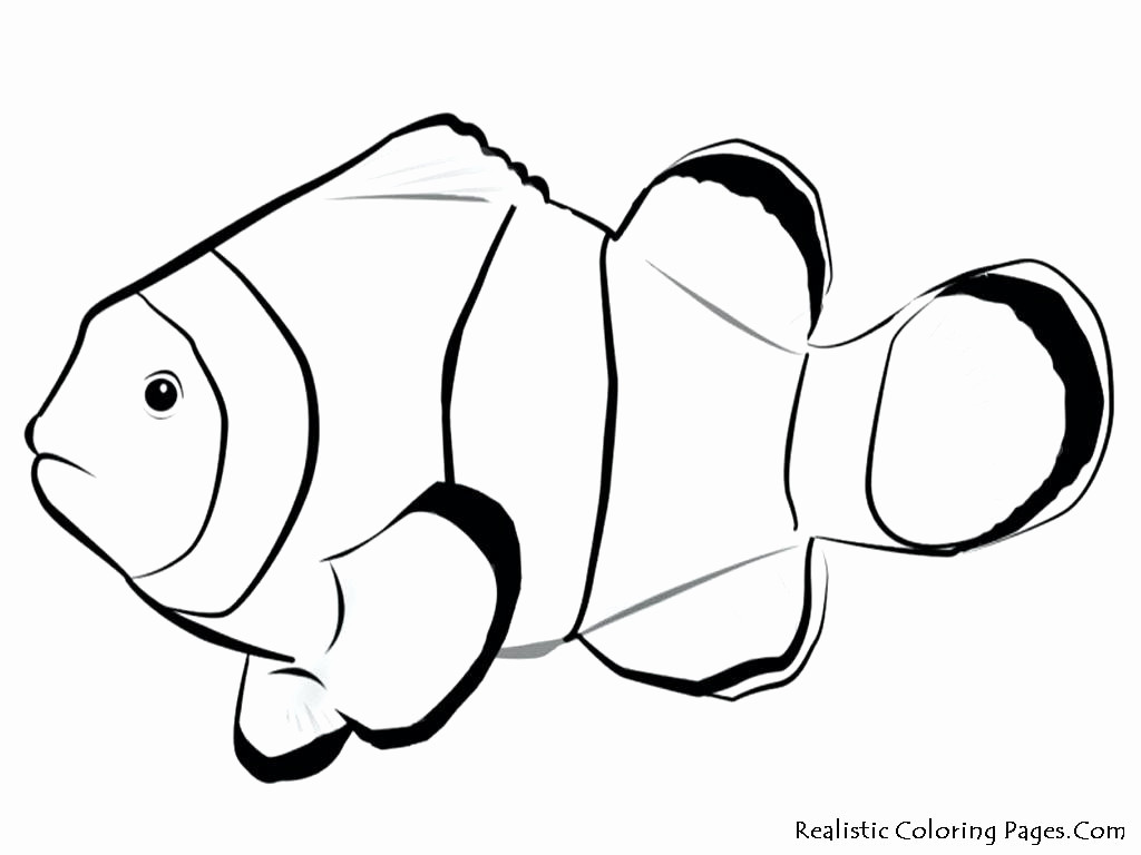 15 Best Cheap Fish Bowl Vases 2024 free download cheap fish bowl vases of fish bowl coloring page printable coloring pages pertaining to fish bowl coloring page