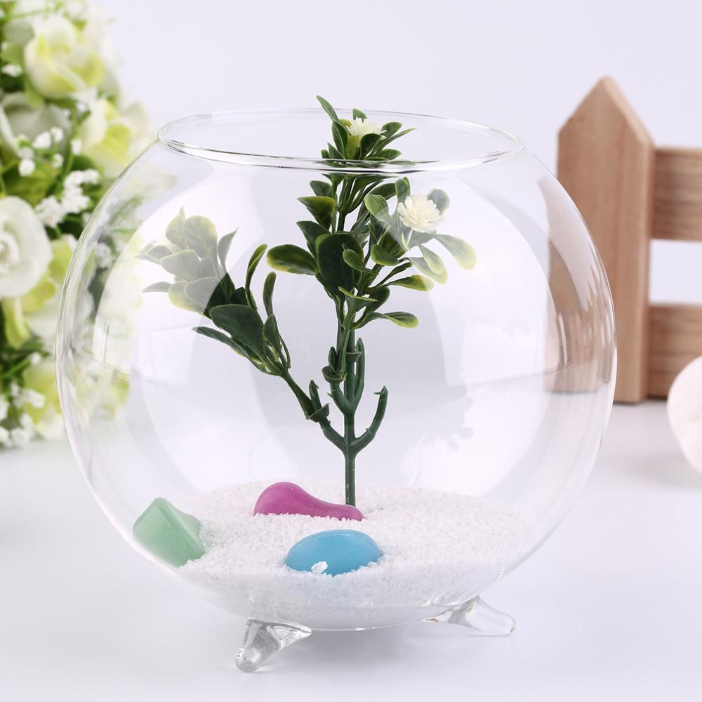 15 Best Cheap Fish Bowl Vases 2024 free download cheap fish bowl vases of tripod support round shape glass plant flower landscape vase with regard to tripod support round shape glass plant flower landscape vase container transparent hydrop