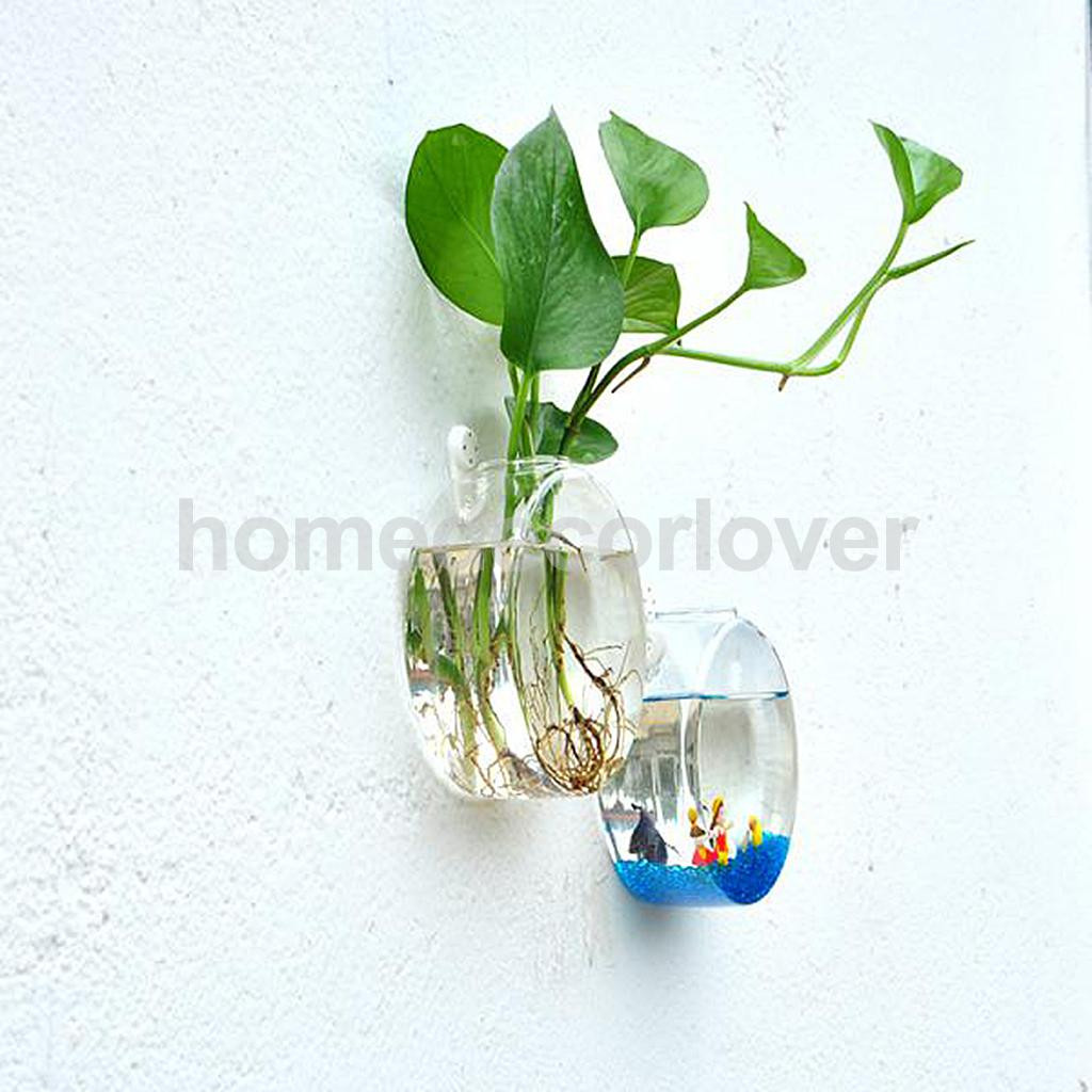 15 Best Cheap Fish Bowl Vases 2024 free download cheap fish bowl vases of wall hanging plant flower hydroponic flat ball glass vase terrarium in aeproduct getsubject
