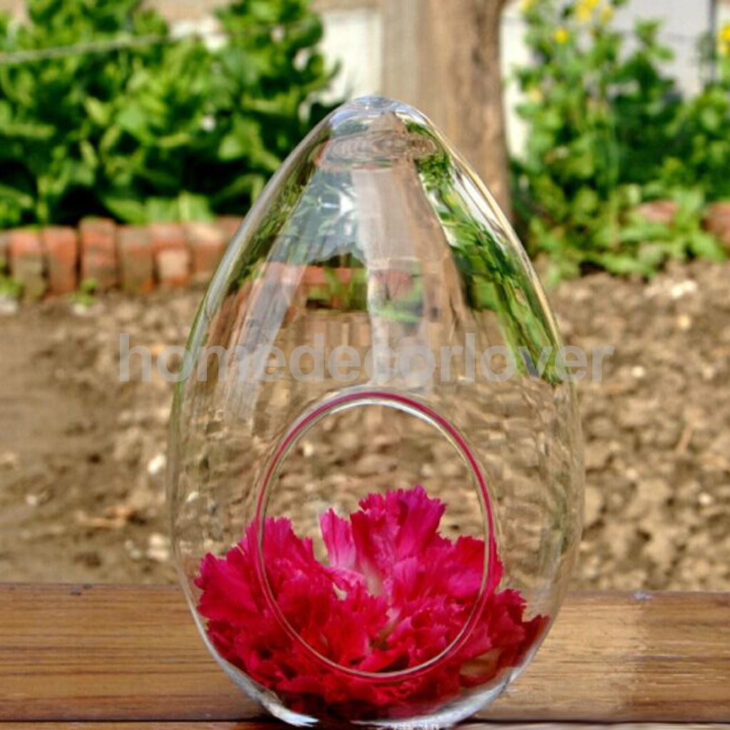 11 Unique Cheap Glass Flower Vases 2024 free download cheap glass flower vases of egg glass flower vase micro landscape fairy garden scenery diy with aeproduct getsubject
