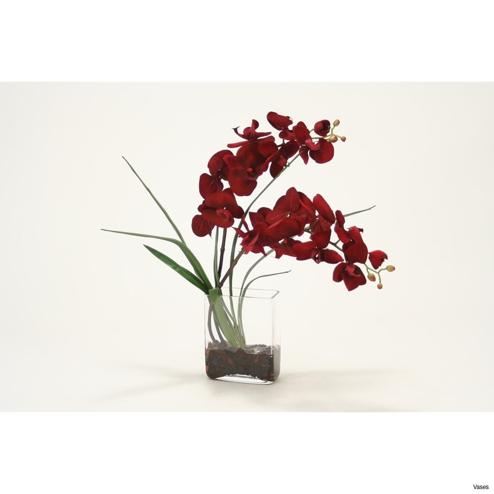 25 attractive Cheap Red Vases 2024 free download cheap red vases of tall red vase pics zoom vases orchid in a vase give this tall for throughout tall red vase pics zoom vases orchid in a vase give this tall for any occasion i 0d