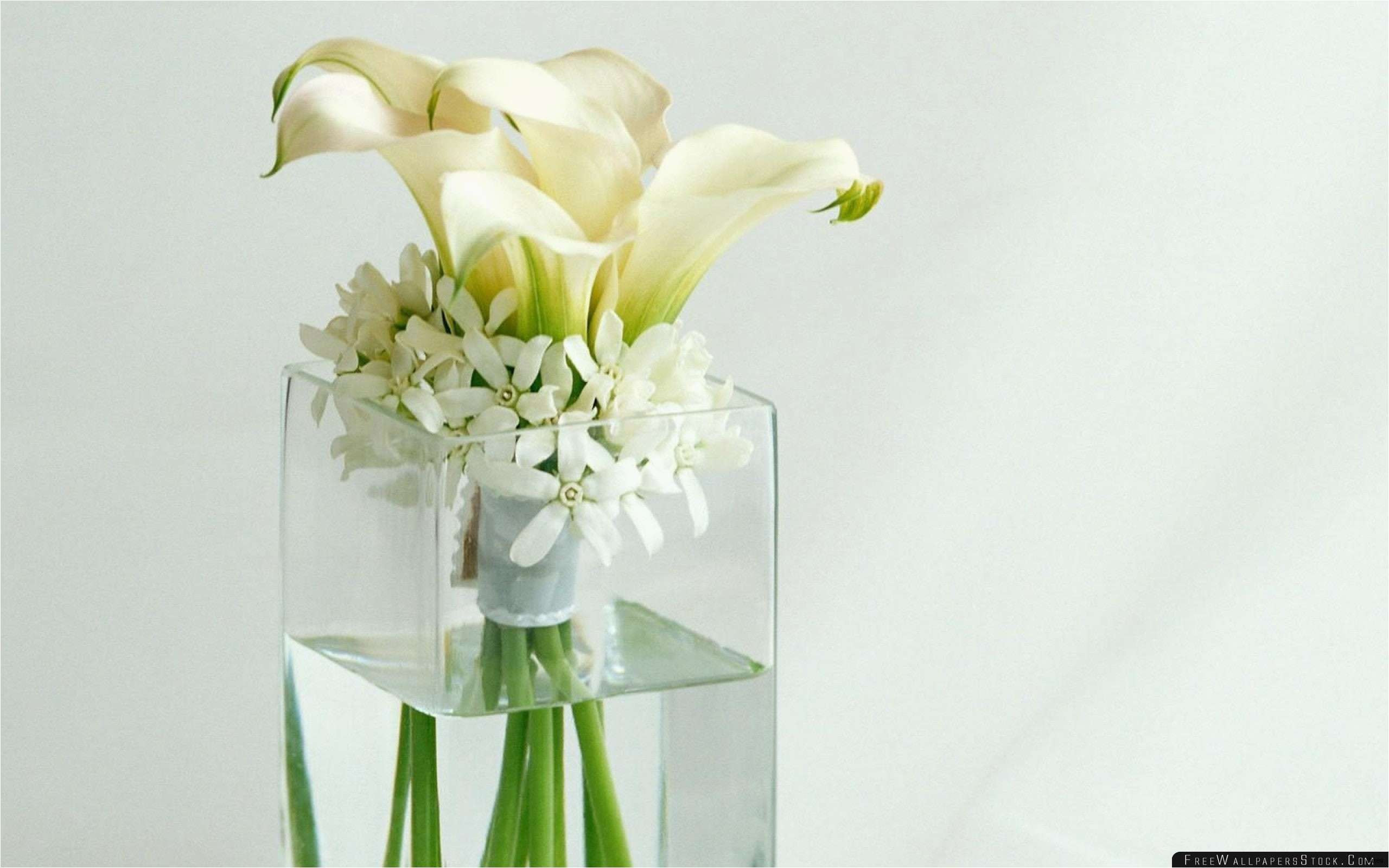 16 Trendy Cheap Square Glass Vases Bulk 2024 free download cheap square glass vases bulk of 30 bulk photo frames photo best certificate examples with regard to best trumpet vases bulk fresh tall vase centerpiece ideas vases flowers in water 0d artif