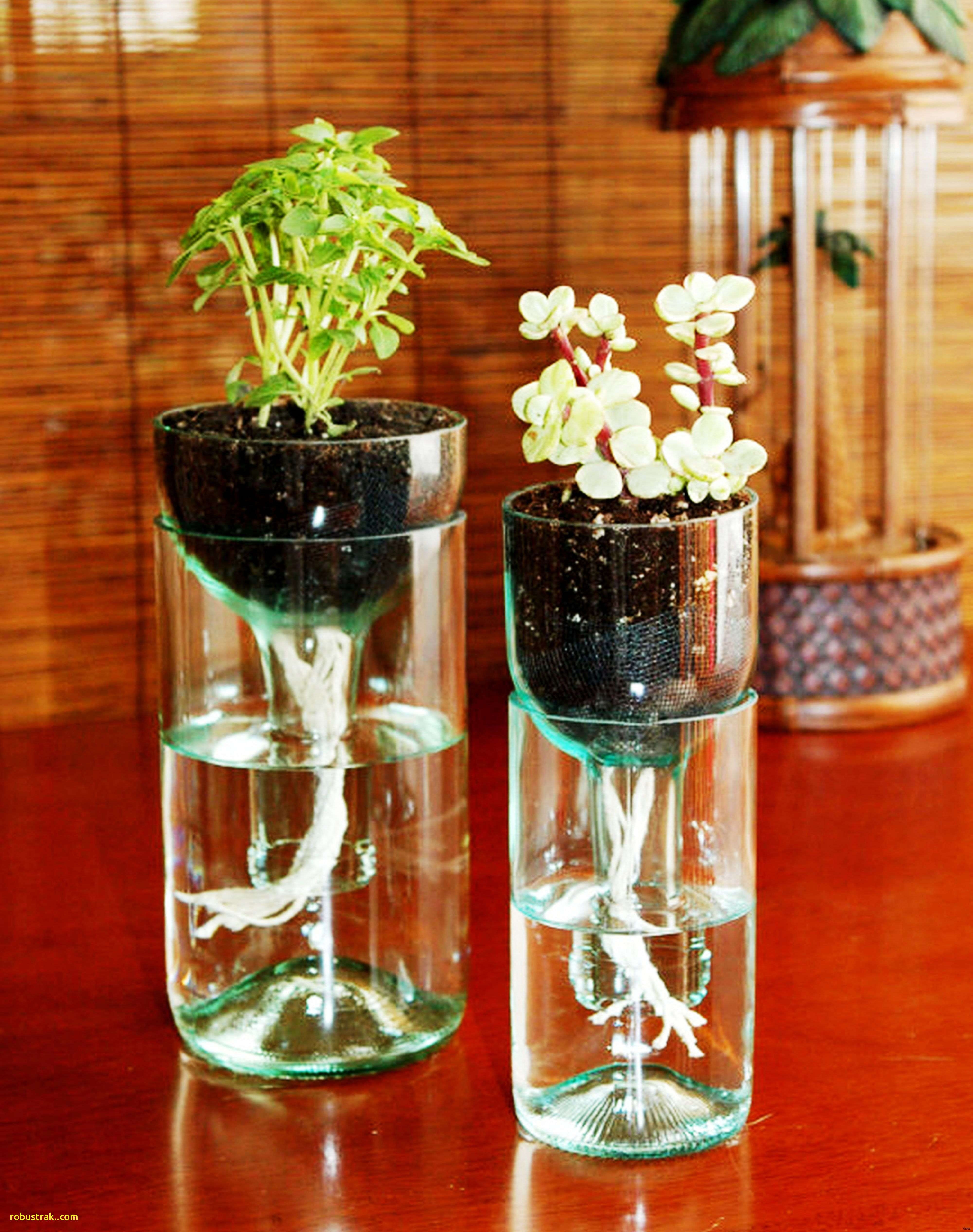 24 Fashionable Cheap Tall Clear Vases | Decorative vase Ideas
