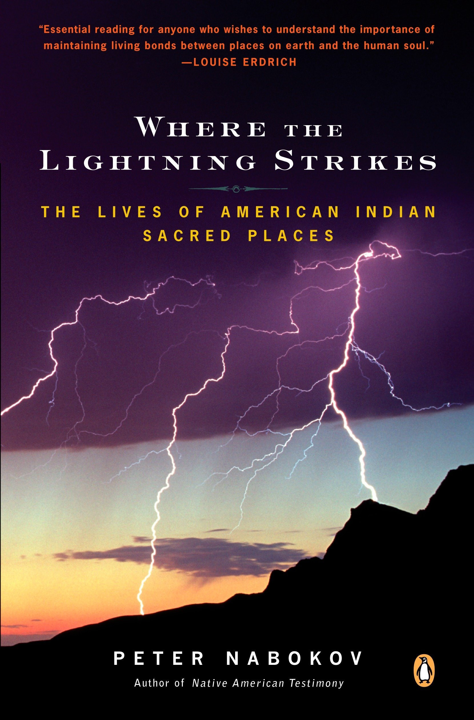 24 Fabulous Cherokee Wedding Vase 2024 free download cherokee wedding vase of where the lightning strikes the lives of american indian sacred pertaining to where the lightning strikes the lives of american indian sacred places peter nabokov 97