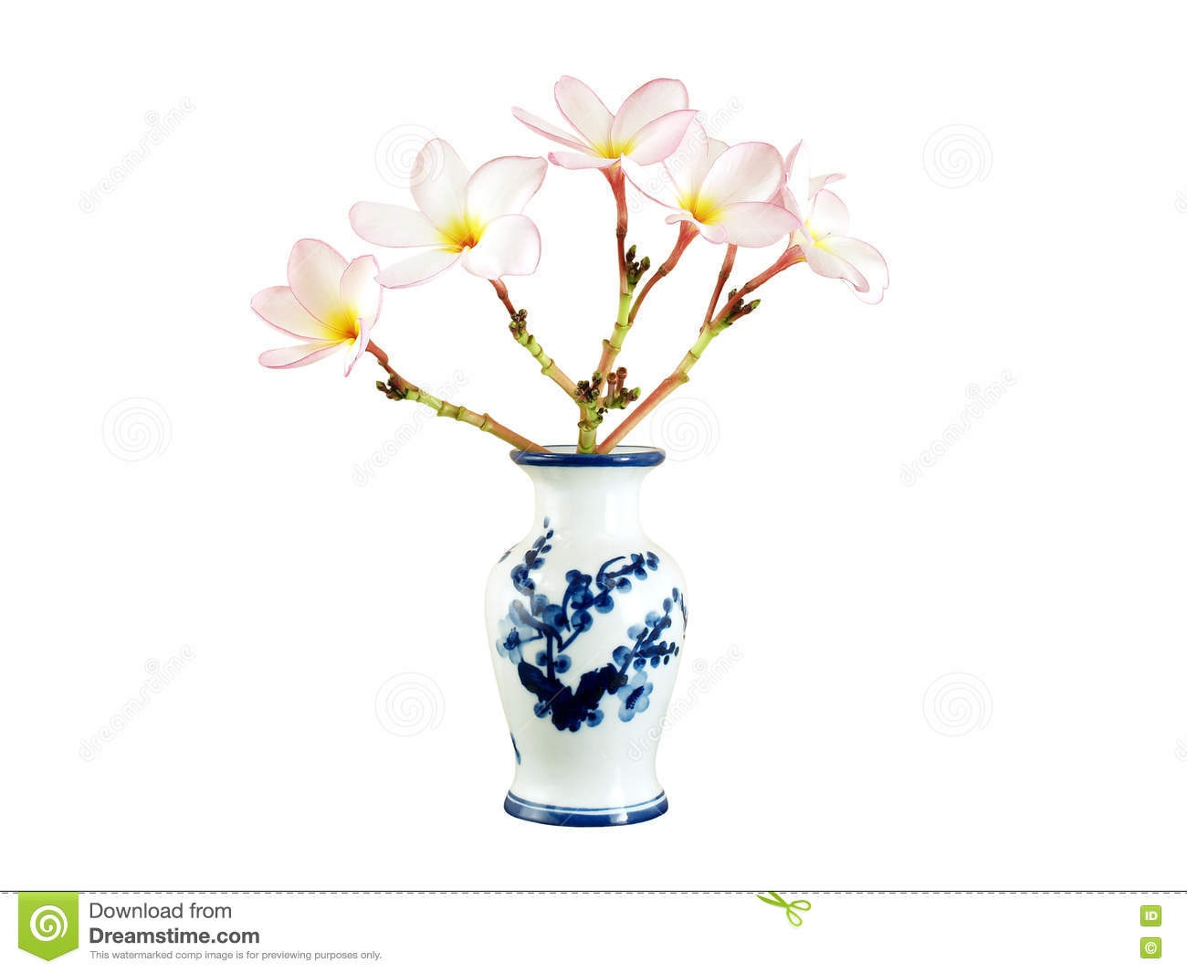 chinese plant vase of 23 awesome flower vase clipart black and white flower decoration ideas for flower vase clipart black and white best of beautiful bouquet light pink plumeria frangipani in white
