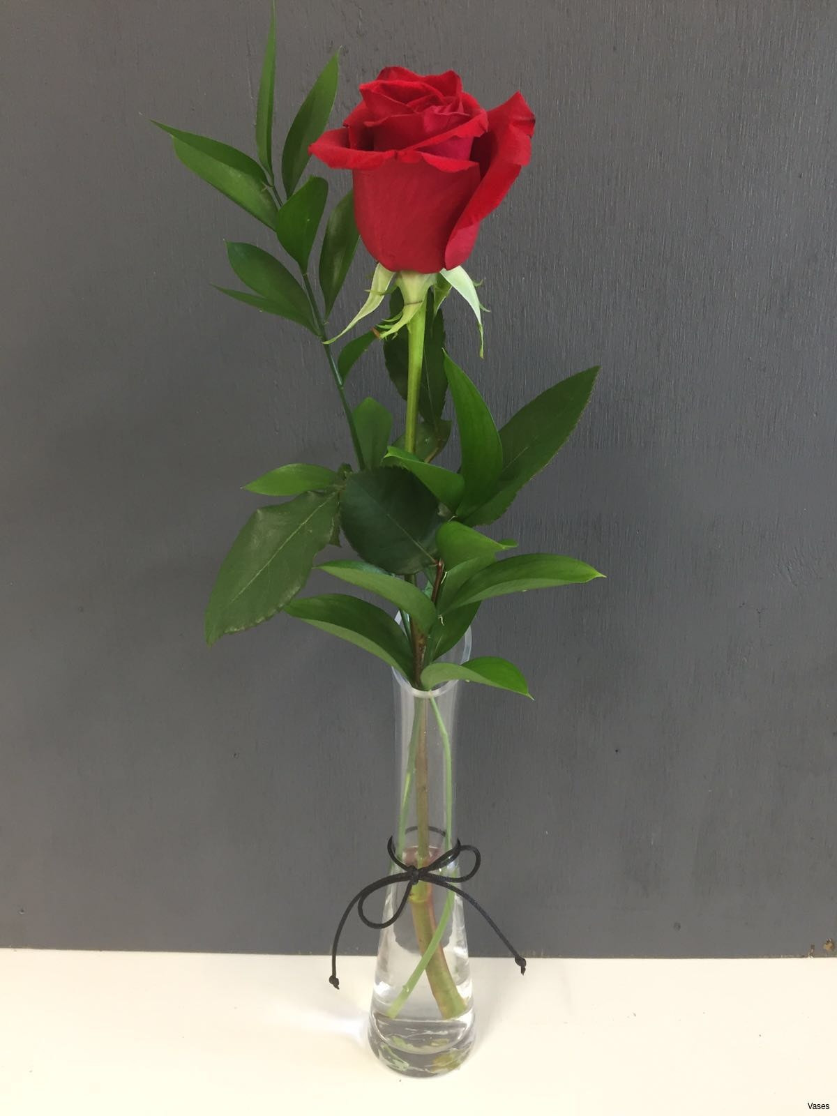 Chinese Vase Umbrella Stand Of Single Flower Vase Photos Flowers In A Vase New Beautiful Single Intended for Single Flower Vase Images Roses Red In A Vase Singleh Vases Rose Single I 0d Invasive