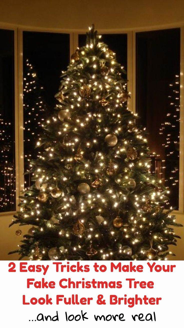 27 Fantastic Christmas Tree for Cemetery Vase 2024 free download christmas tree for cemetery vase of awesome christmas tree images 2018 3000 inspirational quotes for christmas tree s inspirational wall decal luxury 1 kirkland wall decor home design 0d out