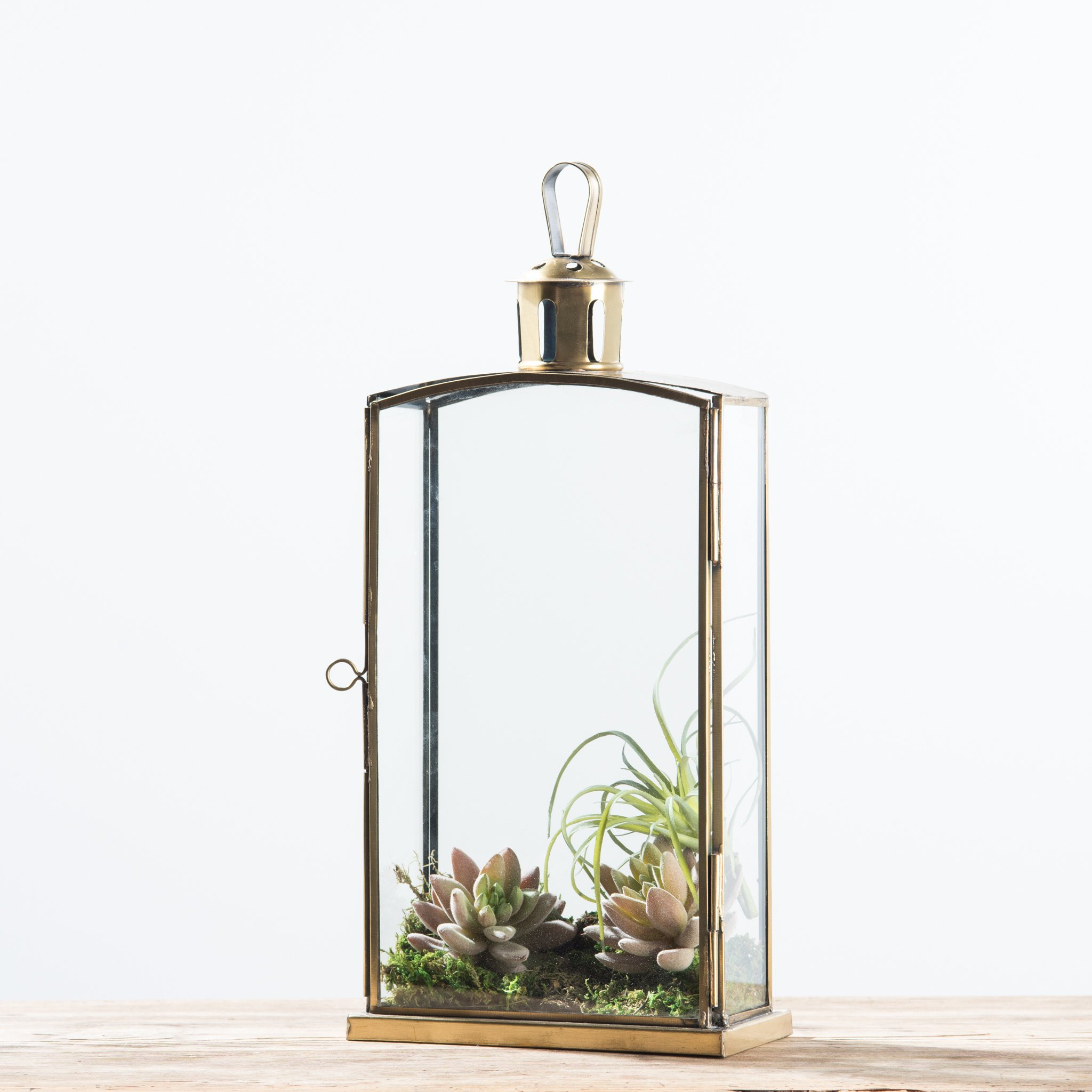 10 attractive Clear Barcelona Vases 2024 free download clear barcelona vases of cara terrarium joanna gaines chip gaines magnolia pinterest throughout cara terrarium