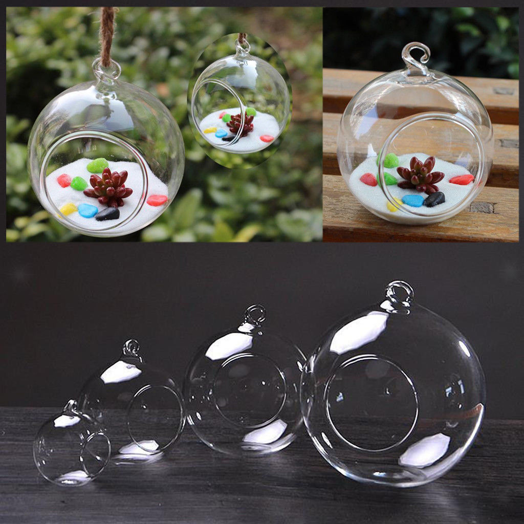 18 Cute Clear Bubble Glass Vase 2024 free download clear bubble glass vase of adeeing creative clear glass ball vase micro landscape air plant inside 3 size clear ball flower hanging vase planter terrarium container glass home dec