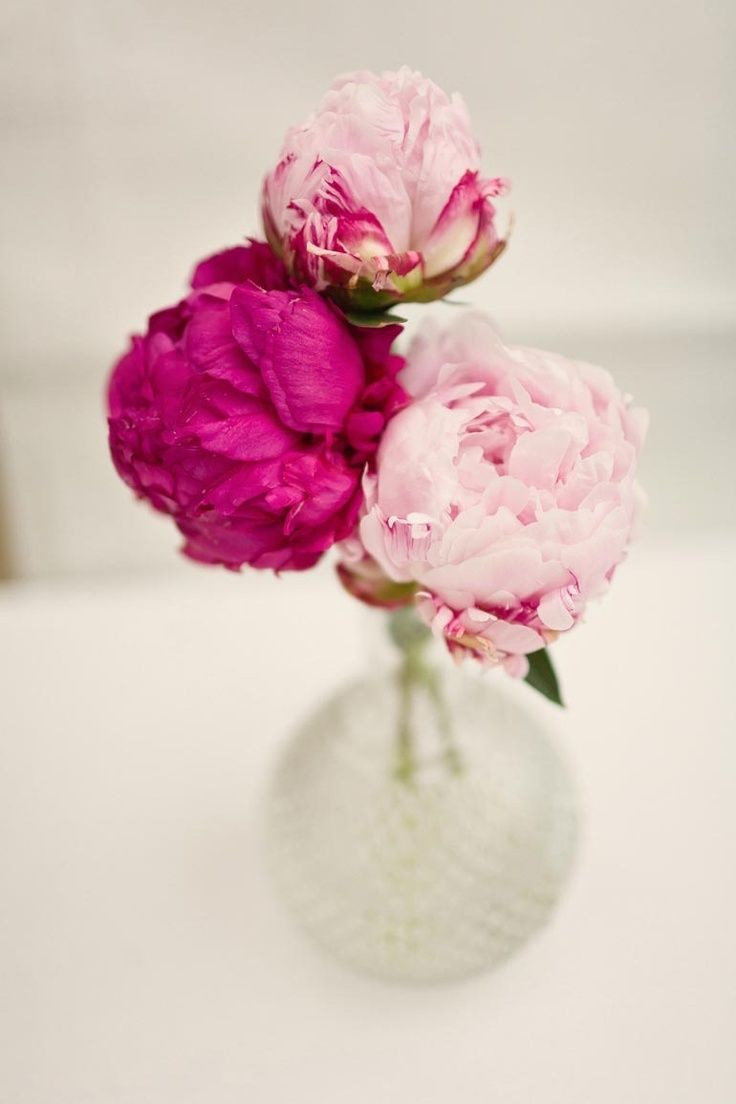 15 Wonderful Clear Bud Vases 2024 free download clear bud vases of san diego wedding by we heart photography pink pinterest in peonies