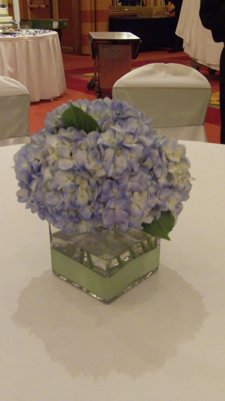 21 Lovely Clear Cube Vase 2024 free download clear cube vase of 32 best wedding flowers images on pinterest blue hydrangea within simple and lush low centerpiece with light blue hydrangea mounded on top of a clear cube
