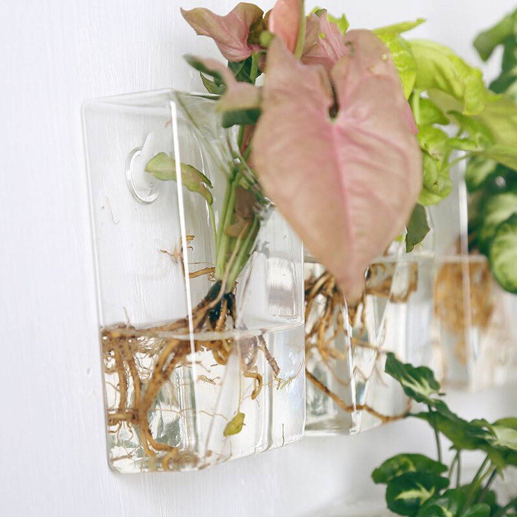 21 Lovely Clear Cube Vase 2024 free download clear cube vase of cube shape wall hanging transparent glass flower vase air plant with regard to cube shape wall hanging transparent glass flower vase air plant hydroponic pot terrarium bot