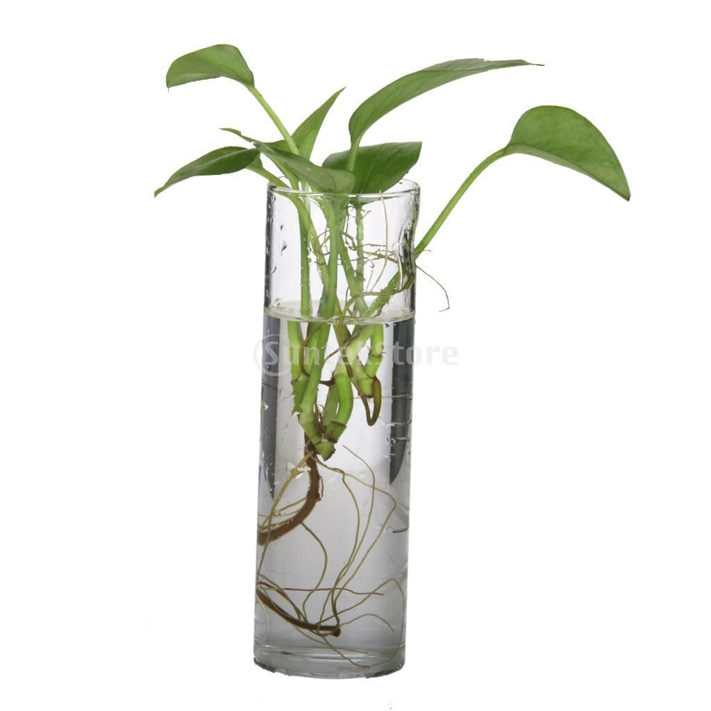 27 Stylish Clear Cylinder Vases 2024 free download clear cylinder vases of cheap vase bottle buy quality hanging vase directly from china wall throughout clear glass ac2b7 cheap vase bottle buy quality hanging vase directly from china wall h