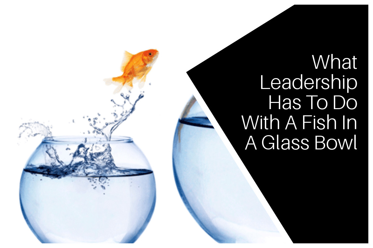 25 Best Clear Glass Fish Shaped Vase 2024 free download clear glass fish shaped vase of what leadership has to do with a fish in a glass bowl empowering within what leadership has to do with a fish in a glass bowl empowering ambitious women