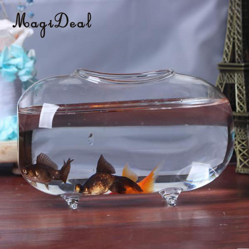 17 attractive Clear Glass Fish Vase 2024 free download clear glass fish vase of magideal oval transparent crystal glass vase art gift aquariuml 18cm pertaining to aeproduct getsubject