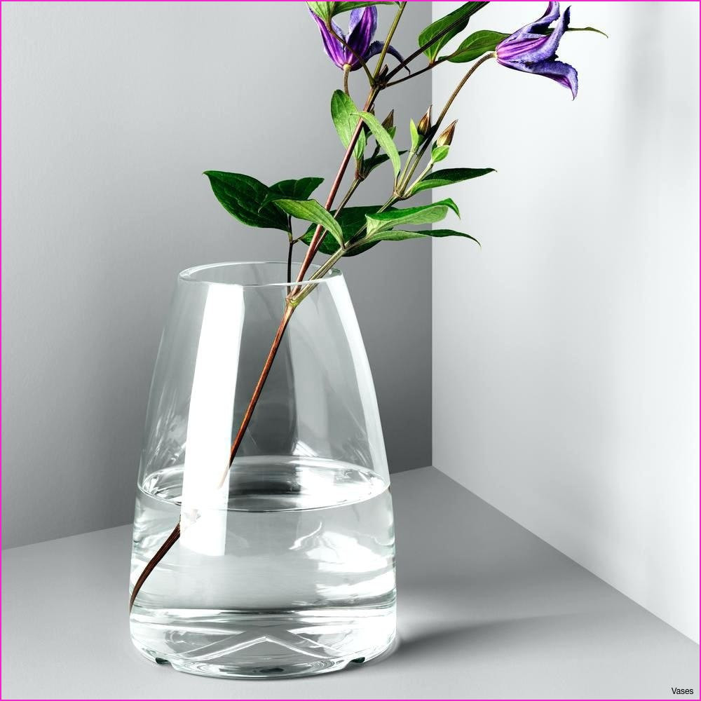 18 Unique Clear Plastic Square Vase 2024 free download clear plastic square vase of plastic vases in bulk image bulk wedding supplies cheap neat 9 clear inside bulk wedding supplies cheap neat 9 clear plastic tapered square plastic cylinder vase