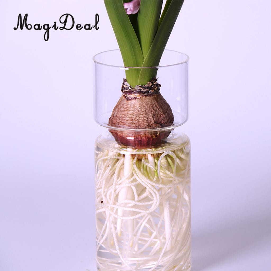 clear plastic vases for flowers of magideal clear hyacinth glass vase flower planter pot diy terrarium pertaining to magideal clear hyacinth glass vase flower planter pot diy terrarium container decor art gift in vases from home garden on aliexpress com alibaba group