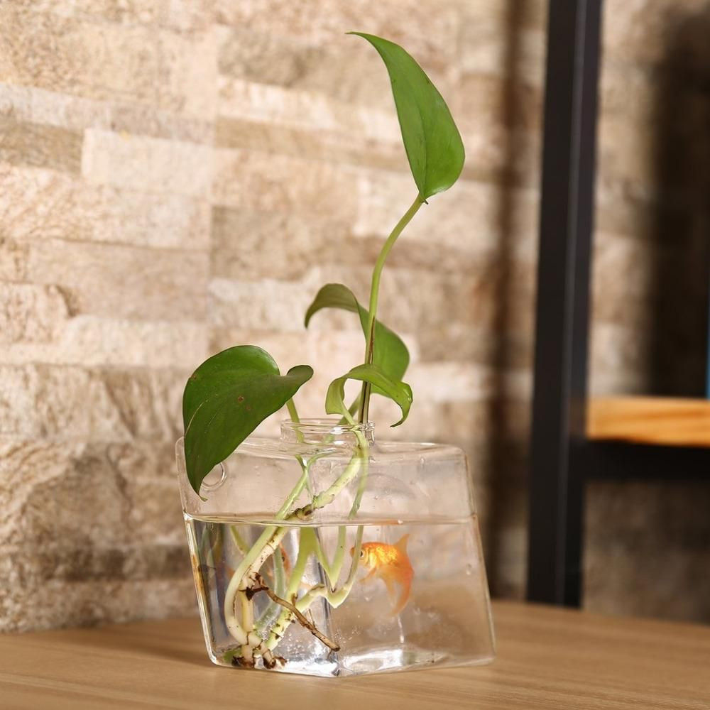 26 attractive Clear Rectangle Vase 2024 free download clear rectangle vase of diamond shaped transparent wall hanging vase creative plant decor with diamond shaped transparent wall hanging vase
