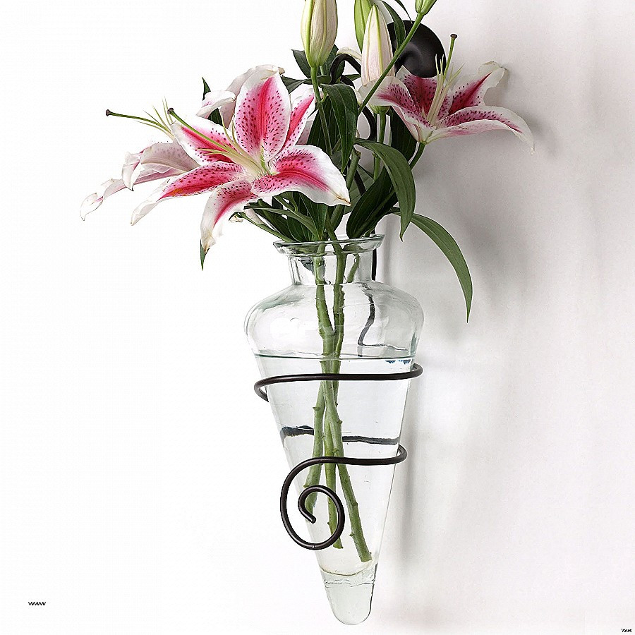 13 Elegant Clear Vase with Lid 2024 free download clear vase with lid of wall sconces wall vase sconce beautiful font b wall mounted for full size of wall sconceslovely wall vase sconce wall vase sconce new accessories sweet