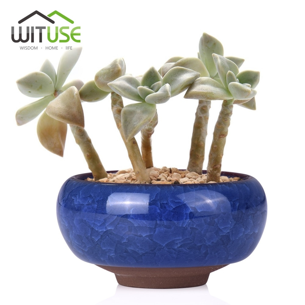 cracked glass vase of aliexpress com buy wituse kawaii flowerpot chinese ice crack style with regard to aliexpress com buy wituse kawaii flowerpot chinese ice crack style ceramics succulent planter pots tiny flower pots vase for home garden plant from