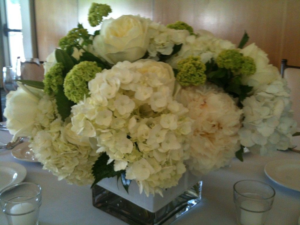 27 Best Cube Vase Centerpieces 2024 free download cube vase centerpieces of oh viburnum snowball bush of old that is a cascade of mini green in oh viburnum snowball bush of old that is a cascade of mini
