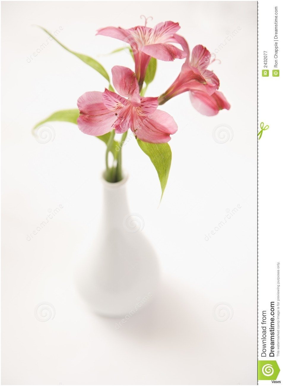 21 Famous Cylindrical Glass Vase 2024 free download cylindrical glass vase of 19 inspirational flowers for small round vases intended for bridal flowers incredible vase clipart flower 19h vases a with flowers pin 12i 0d curtain 957