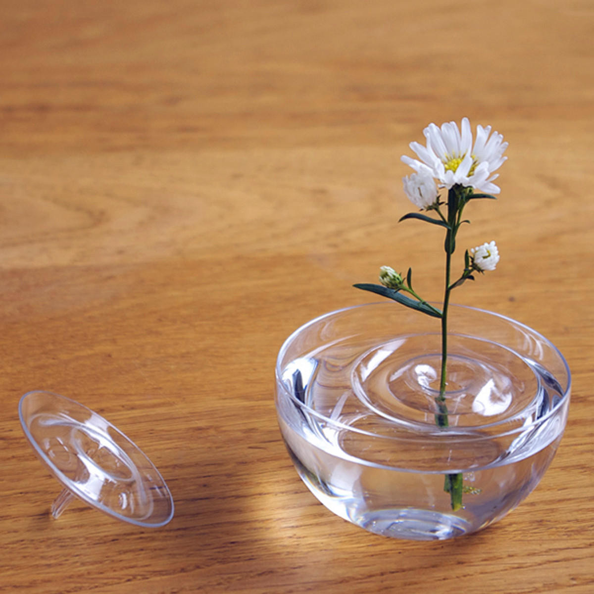 19 Perfect Decorative Clear Glass Vases 2024 free download decorative clear glass vases of clear floating plant vase plate dish creative water wave transparent with regard to clear floating plant vase plate dish creative water wave transparent glass