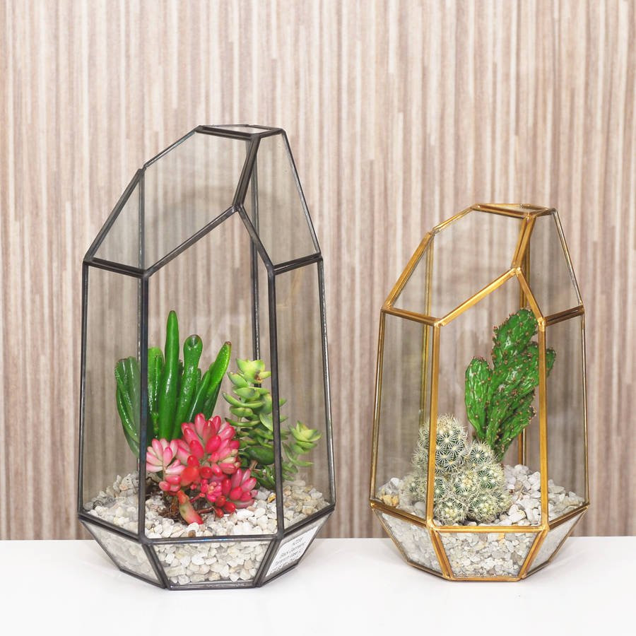 29 Lovable Different Types Of Glass Vases 2024 free download different types of glass vases of geometric glass vase terrarium by dingading terrariums with regard to geometric glass vase terrarium