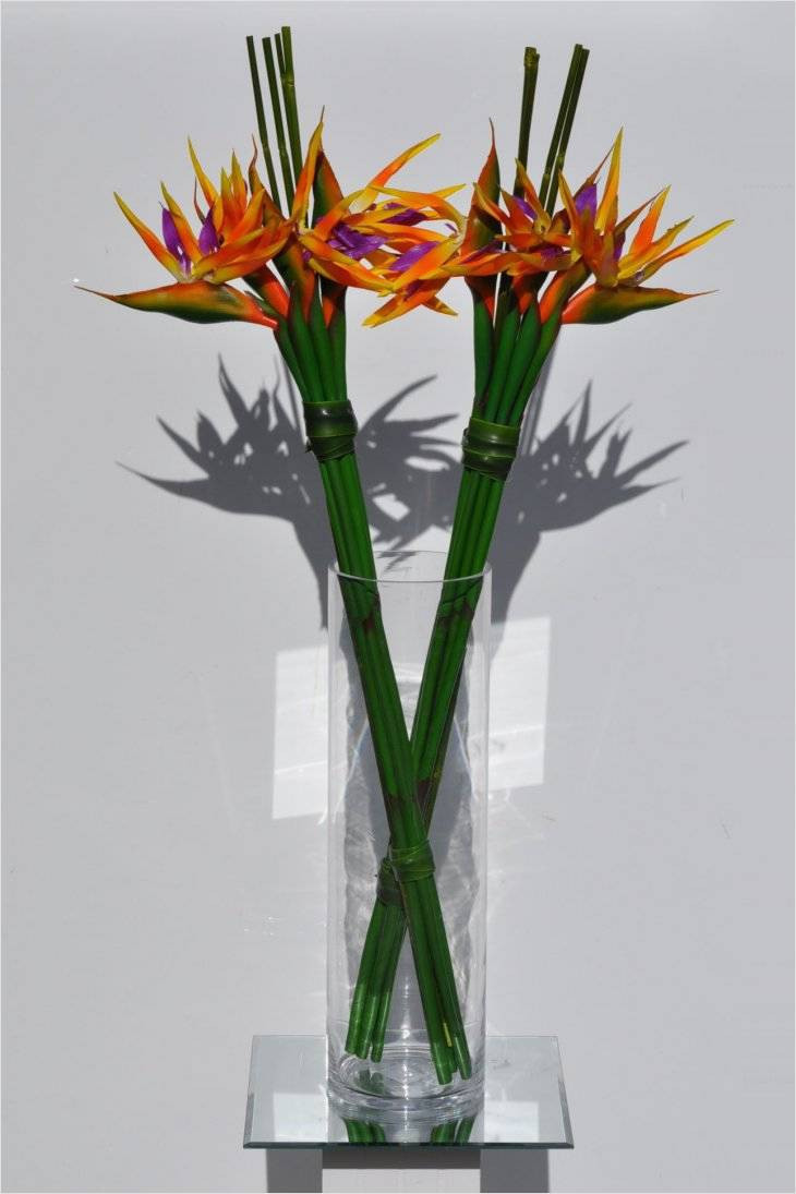 Different Types Of Vases Of Lovely Vase Funeral Home Beginneryogaclassesnear Me with Regard to Flower Arrangements Elegant Floral Arrangements 0d Design Flower Inspiration Flowers for Arrangements 30 Awesome