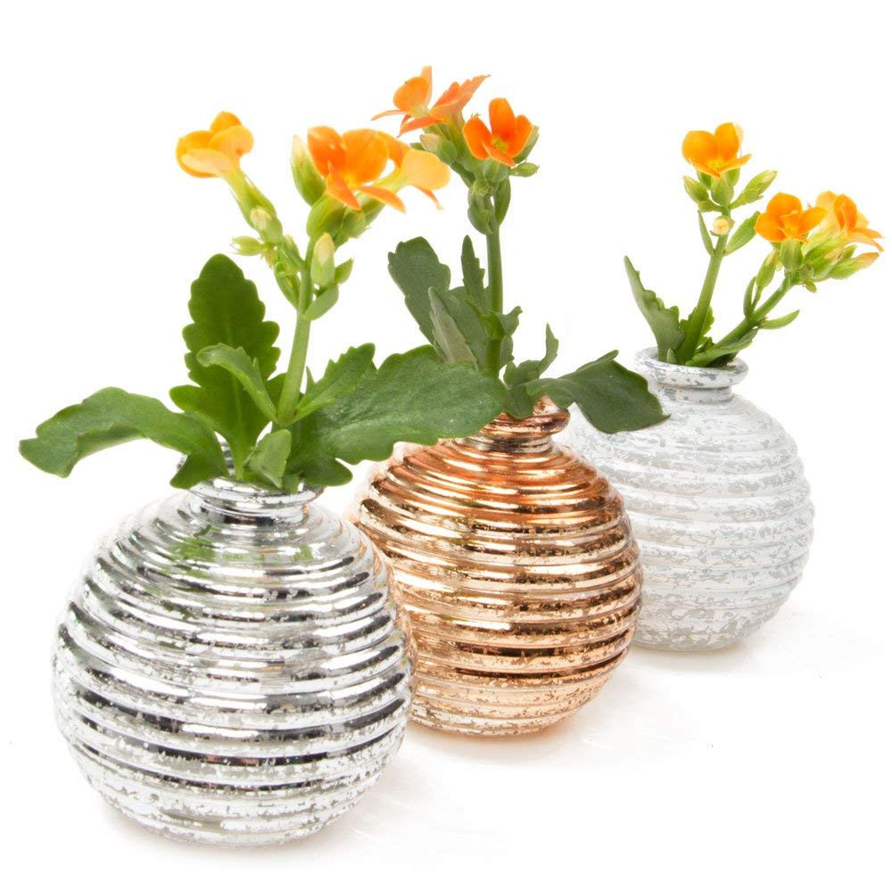 20 Famous Eastland Tall Cylinder Vases Set Of 3 2024 free download eastland tall cylinder vases set of 3 of amazon com chive smasak small round glass flower vase with regard to amazon com chive smasak small round glass flower vase decorative rustic floral v