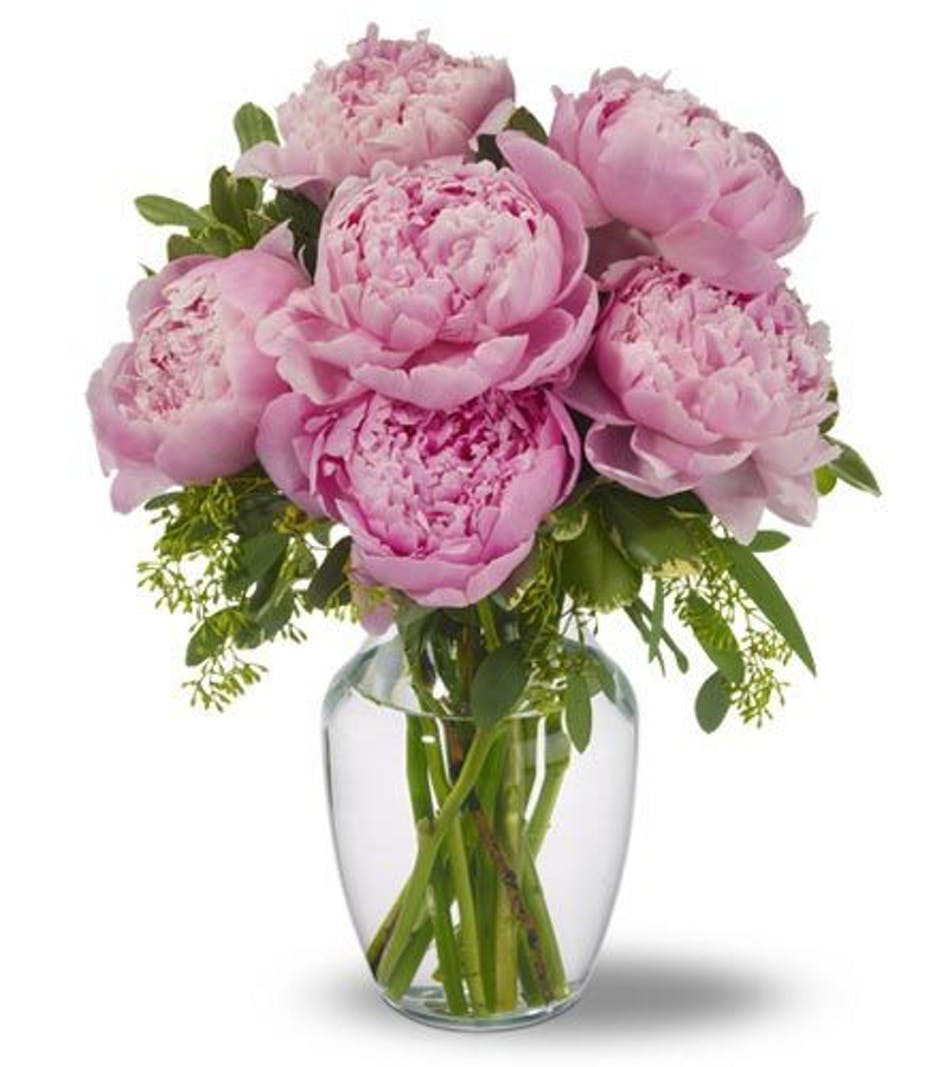 29 Famous Empty Vase Boerne 2024 free download empty vase boerne of peonies in pink san antonio florist flower delivery the flower for temporarily out of stock