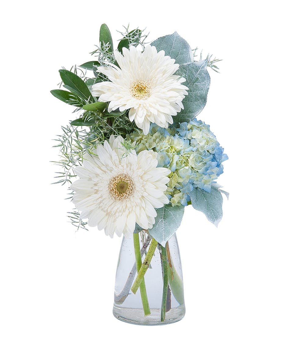 29 Famous Empty Vase Boerne 2024 free download empty vase boerne of white an inspired color for summer flowers the flower bucket blog for arranged in a clear vase with a misty look this piece is a fabulous addition to your winter whites 