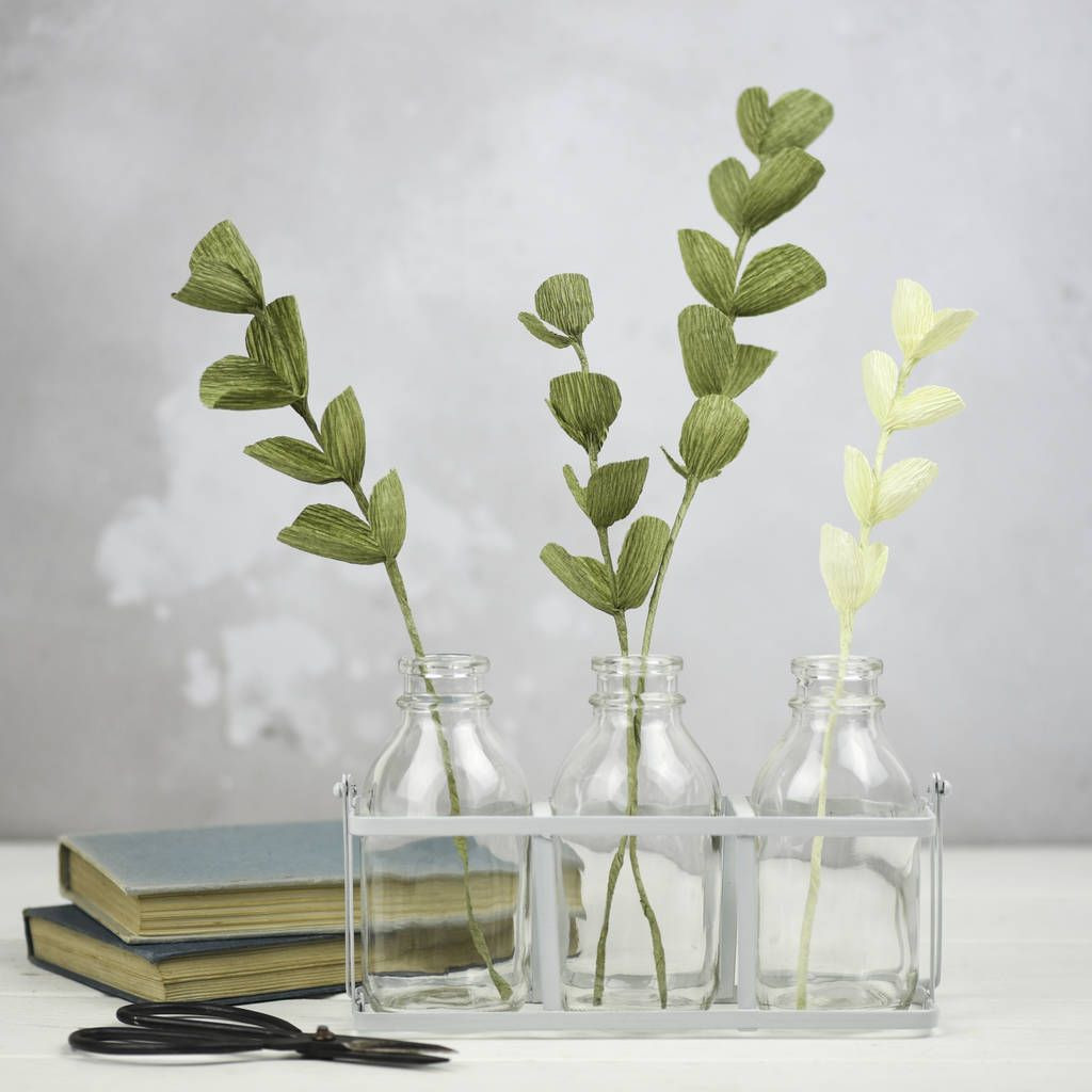25 Lovely Eucalyptus Plant In Vase 2024 free download eucalyptus plant in vase of are you interested in our paper eucalyptus stems with our paper in are you interested in our paper eucalyptus stems with our paper eucalyptus for decoration you n