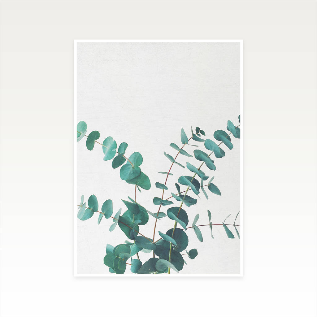 25 Lovely Eucalyptus Plant In Vase 2024 free download eucalyptus plant in vase of eucalyptus ii photographic plant print by cassia beck art and within eucalyptus ii photographic plant print