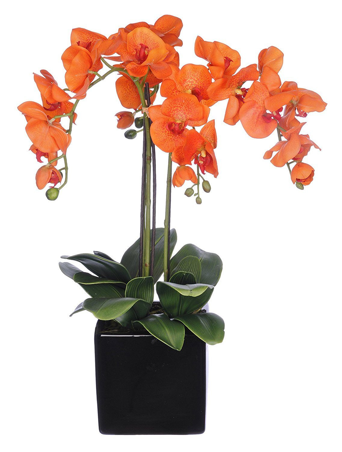 22 Awesome Fake Flowers In Clear Vase 2024 free download fake flowers in clear vase of amazon com house of silk flowers artificial triple stem all with regard to amazon com house of silk flowers artificial triple stem