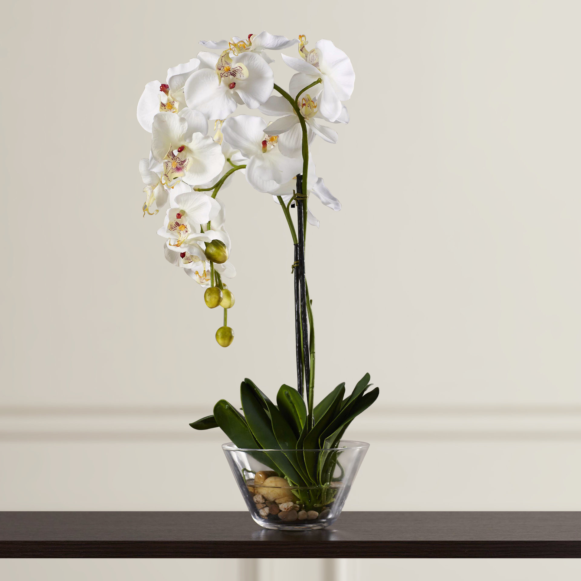 faux hydrangea in glass vase of three posts phalaenopsis silk white orchid in glass vase reviews inside three posts phalaenopsis silk white orchid in glass vase reviews wayfair