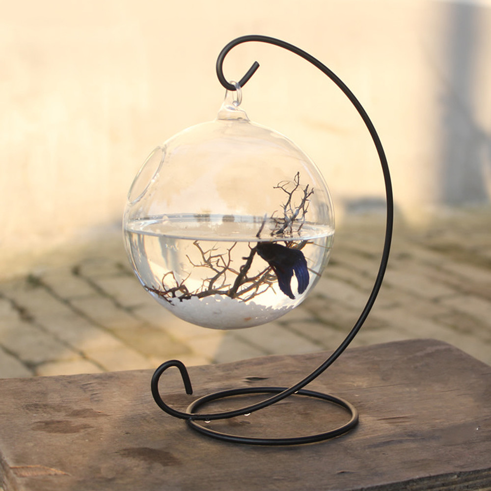 fish bowl vase of clear round shape hanging glass aquarium fish bowl fish tank flower throughout clear round shape hanging glass aquarium fish bowl fish tank flower plant vase home decoration with 28cm height rack holder in aquariums tanks from home