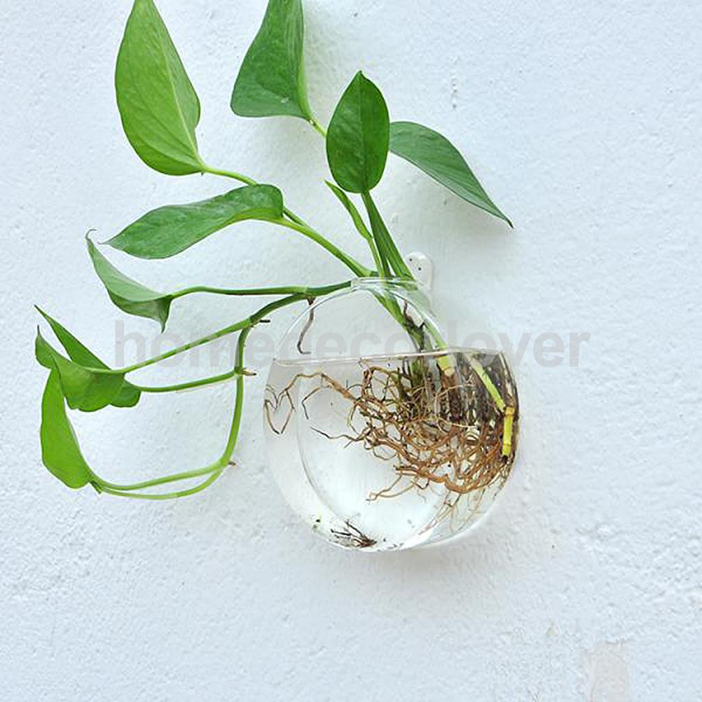 25 Amazing Fish In Plant Vase 2024 free download fish in plant vase of wall hanging plant flower hydroponic flat ball glass vase terrarium for aeproduct getsubject