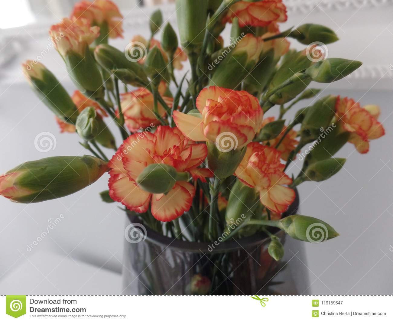 21 Recommended Flower Arrangements In Cylinder Vases 2024 free download flower arrangements in cylinder vases of bouquet of orange spray carnations stock image image of green for bouquet of orange spray carnations
