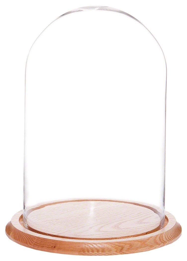 14 Stylish Flower Vase From Beauty and the Beast 2024 free download flower vase from beauty and the beast of amazon com plymor brand 9 75 x 15 glass display dome cloche oak for amazon com plymor brand 9 75 x 15 glass display dome cloche oak wood base home ki