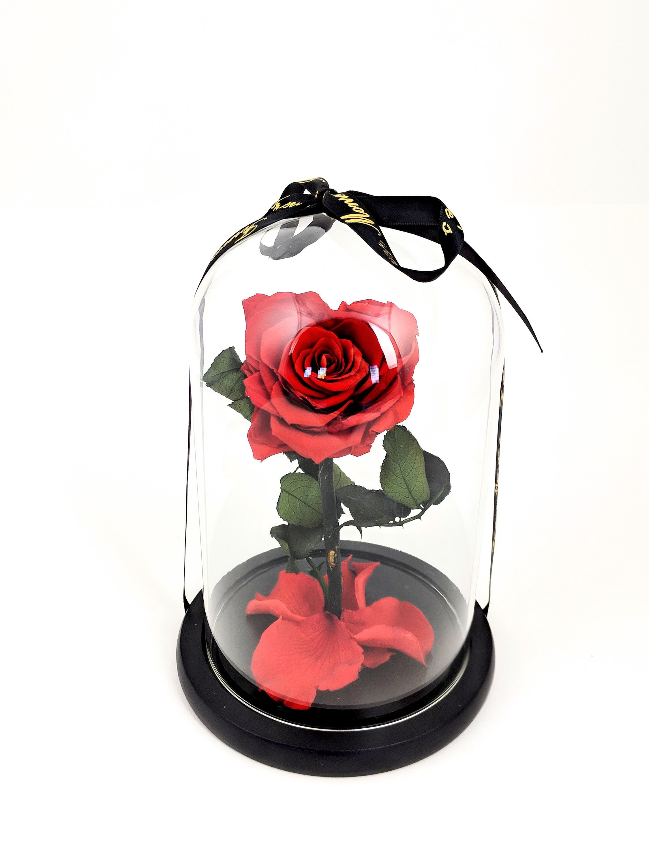 14 Stylish Flower Vase From Beauty and the Beast 2024 free download flower vase from beauty and the beast of heart shaped rose in glass dome beauty and the beast rose etsy for image 0