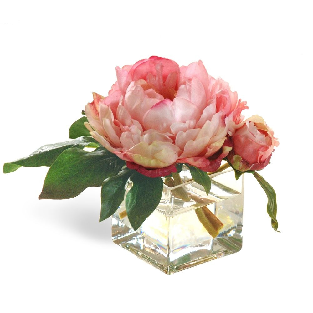21 Cute Flower Vase Square 2024 free download flower vase square of peony blossoms in square glass vase 8 tall pink peony and flowers with regard to this peony bud and peony blossom are quite comfortably located in this classic square v
