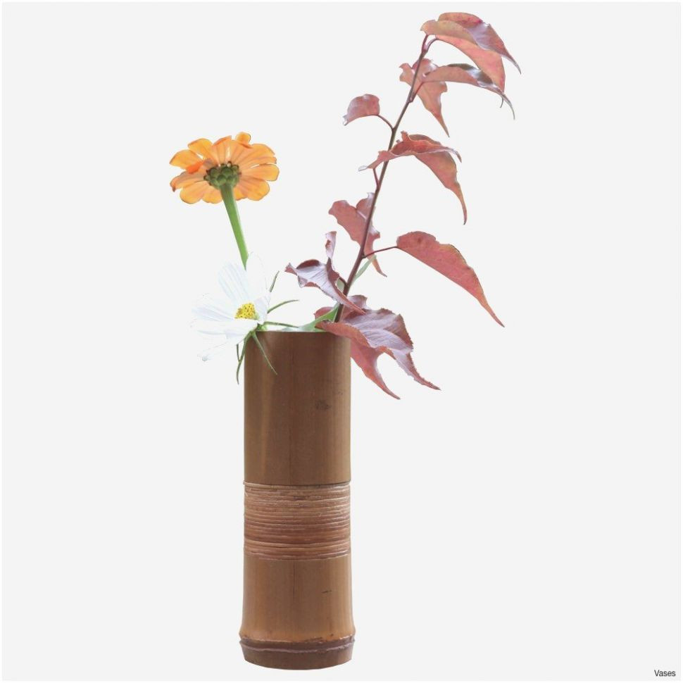 25 Perfect Flower Vase Store 2024 free download flower vase store of 10 best of bamboo vase bogekompresorturkiye com for cool gifts stunning handmade wedding gifts admirable h vases bamboo flower vase i 0d 1000