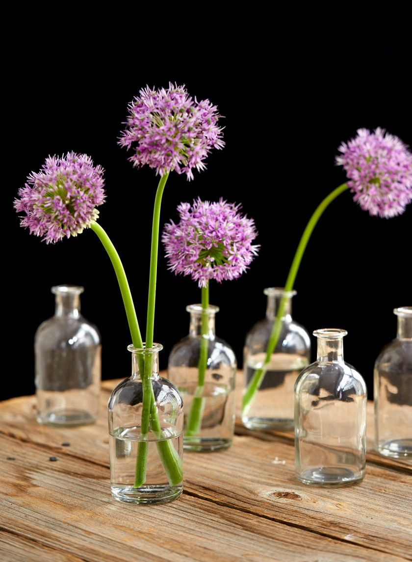 14 Awesome Flowers In Small Glass Vases 2024 free download flowers in small glass vases of clear medicine bottle bud vase set of 6 collectibles pinterest within medicine bottle bud vase vintage look glass vases wedding event party supplies nyc event