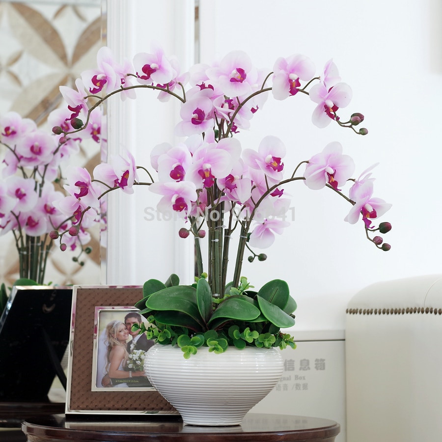 22 Spectacular Flowers with Free Delivery and Free Vase 2024 free download flowers with free delivery and free vase of aliexpress com buy real touch phalaenopsis set high simulation throughout aliexpress com buy real touch phalaenopsis set high simulation orchids f