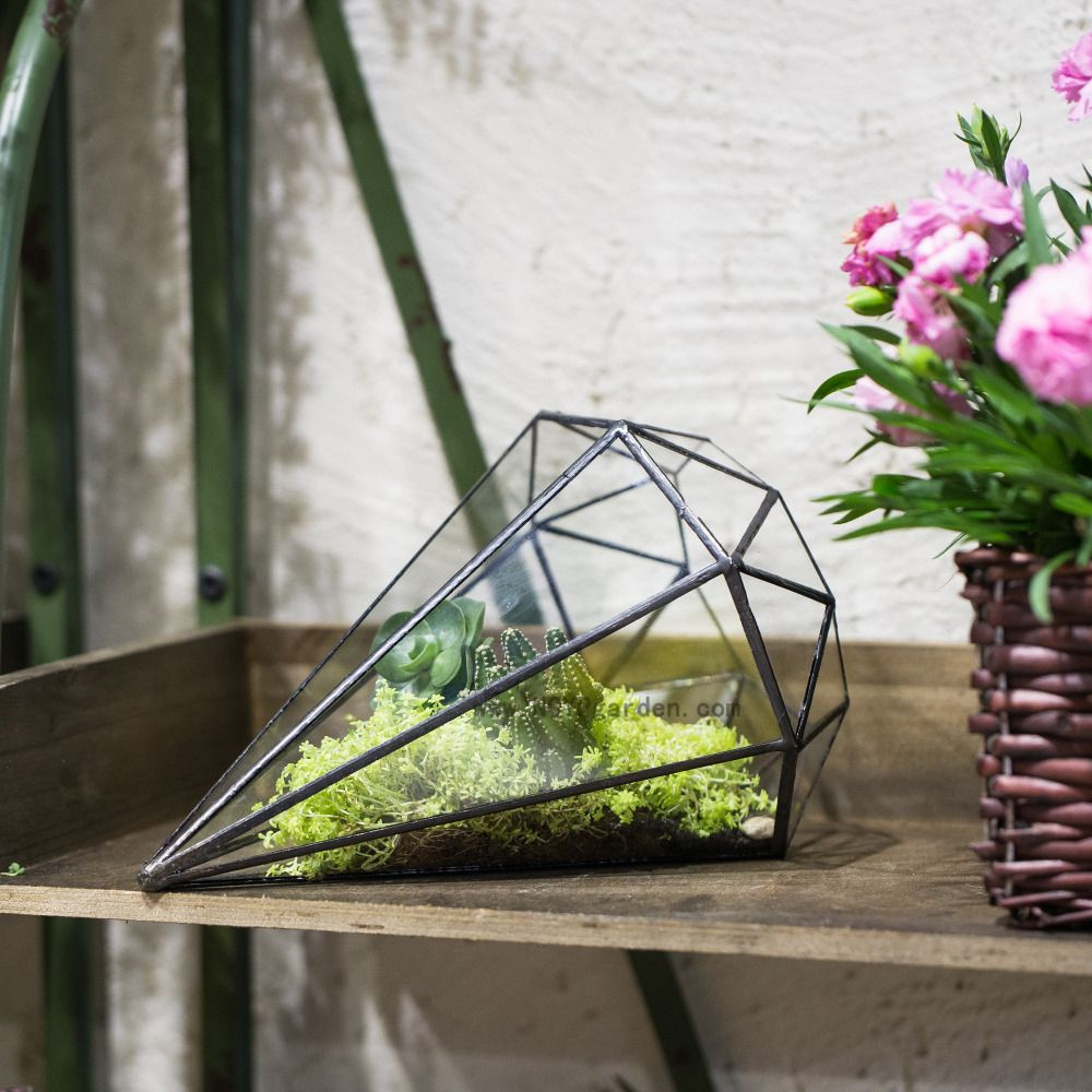 22 Spectacular Flowers with Free Delivery and Free Vase 2024 free download flowers with free delivery and free vase of bonsai free shipping modern glass geometric terrarium octahedral pertaining to bonsai free shipping modern glass geometric terrarium octahedral ta